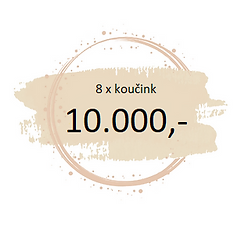 10000 Kč